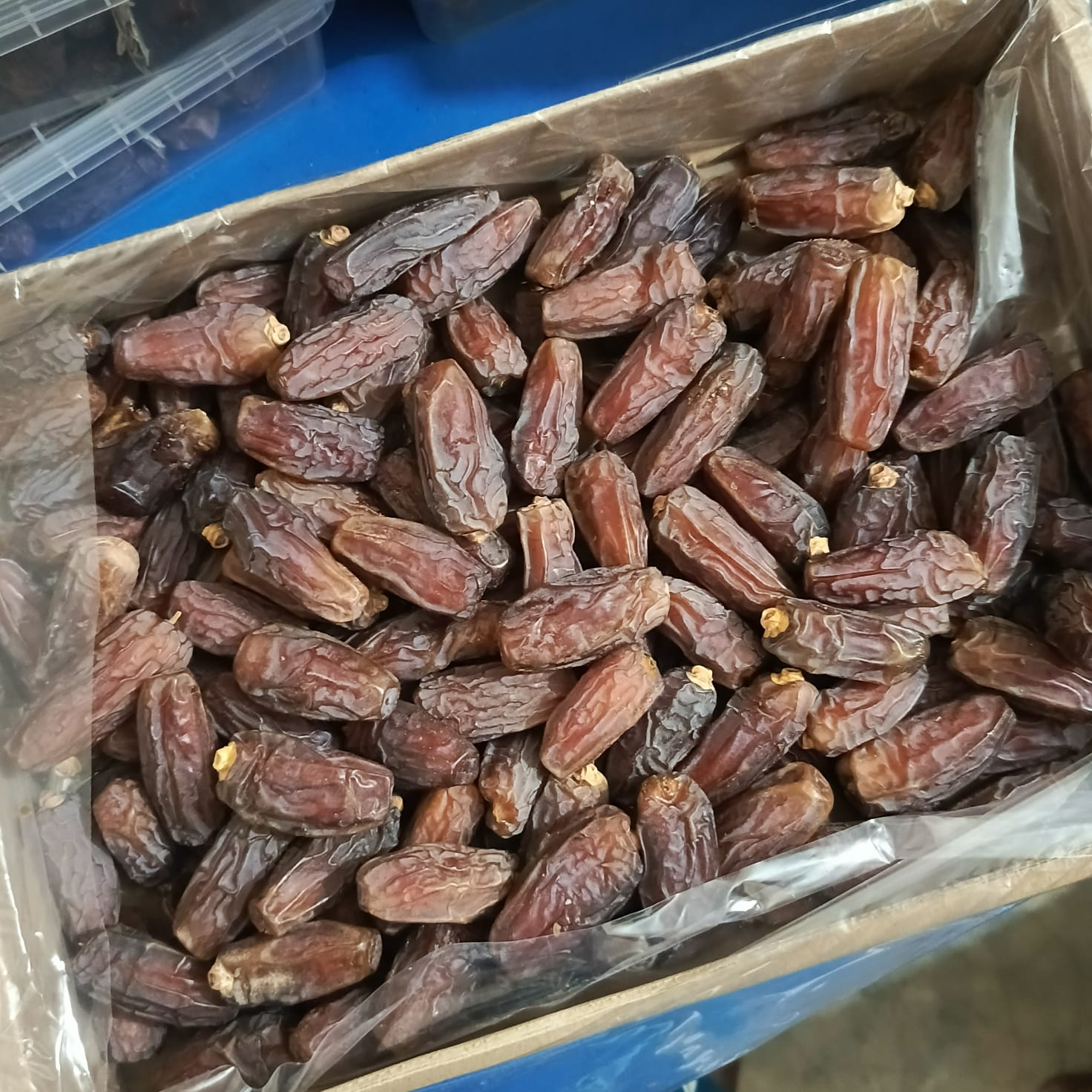 WhatsApp Image 2026-02-13 at 10.14.15 PM