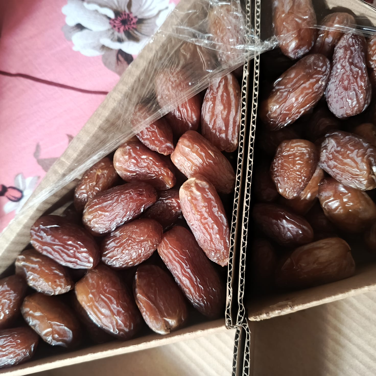 WhatsApp Image 2026-02-13 at 10.14.16 PM