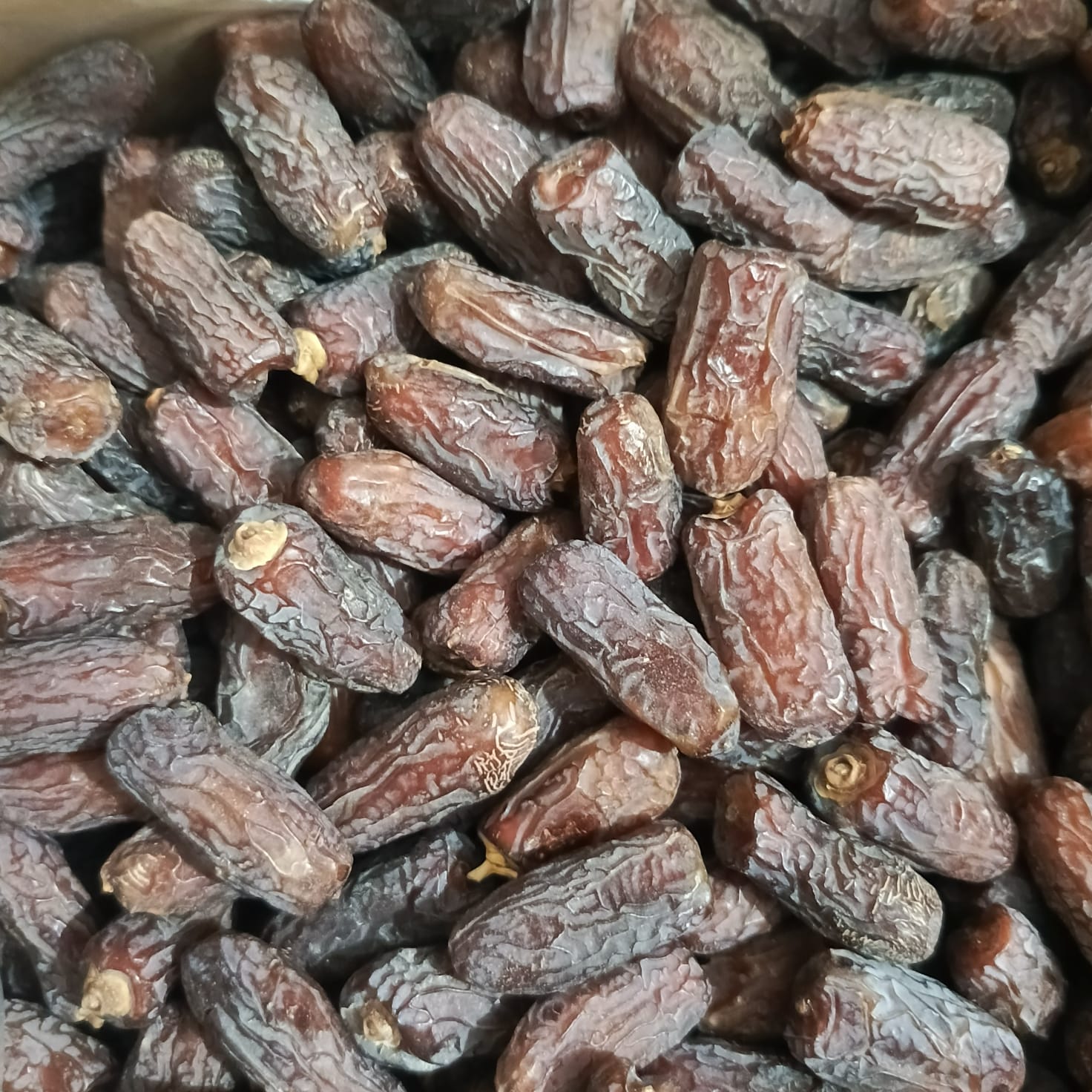 WhatsApp Image 2026-02-13 at 10.14.16 PM(1)